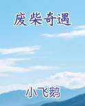 废柴奇遇