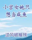 小宫女她只想当咸鱼小说