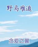 野马难追