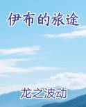 伊布的旅途