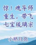 惊！魂导师重生，带飞七宝琉璃宗