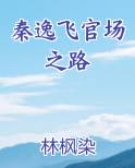 秦逸飞官场之路