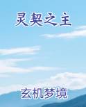 灵契之主