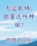 天空农场,你管这叫种田?咖喱土豆炖牛肉