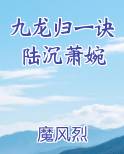 九龙归一诀陆沉萧婉