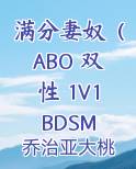 满分妻奴（ABO 双性 1V1 BDSM）